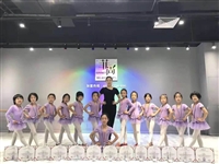 鋼管舞培訓 力量、優雅與自信的融合之旅